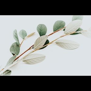 Meet your Posher, Bailey